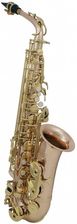 Roy Benson (RB700613) Saksofon altowy w stroju Eb AS202G