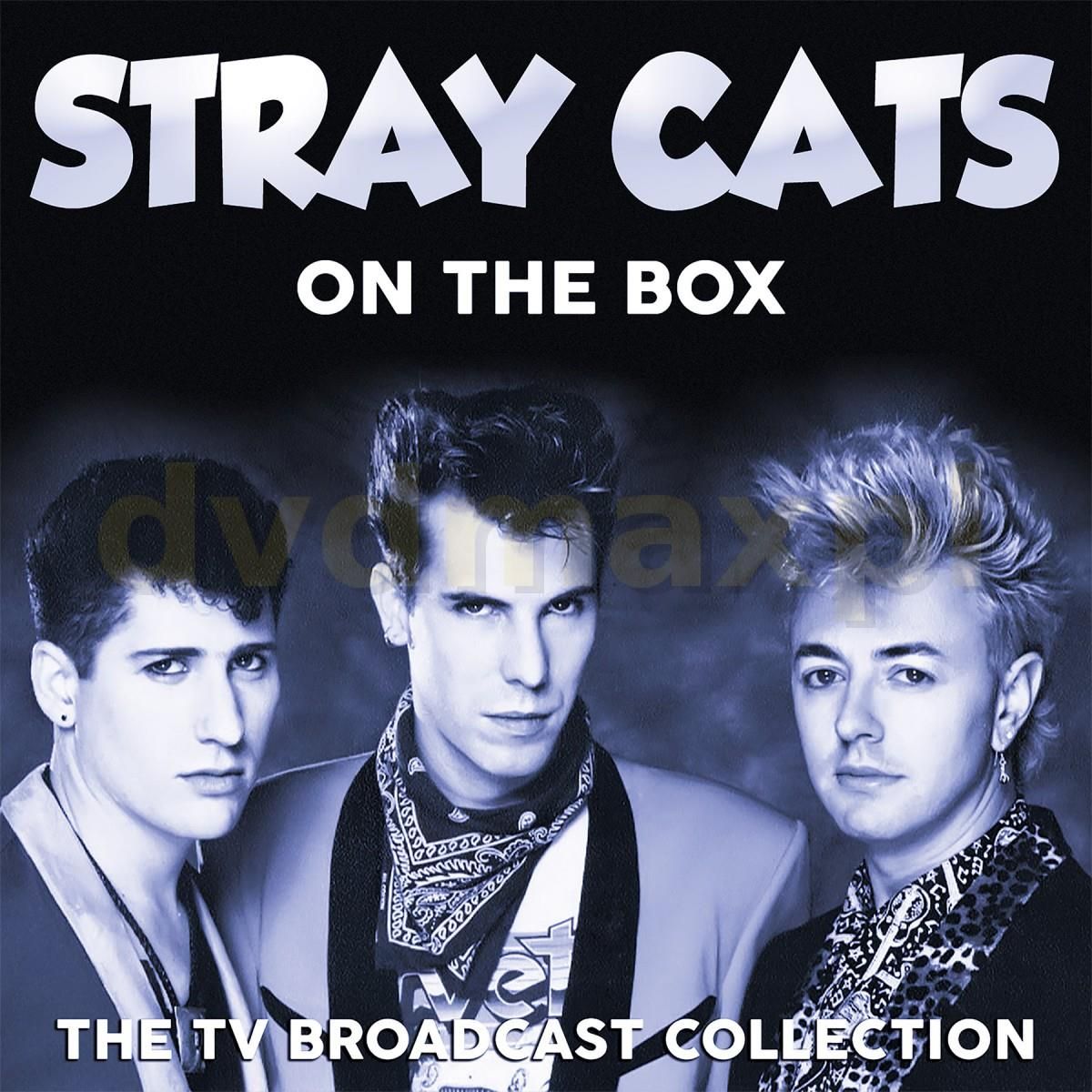 Stray cats слушать