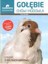 Zdjęcie Gołębie chów i hodowla zwierzęta hodowlane - Giżycko