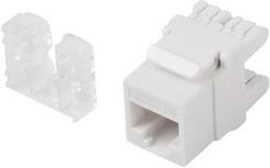 Zdjęcie Lanberg Moduł UTP 1xRJ45 kat. 6 (KSU61000) - Sieradz