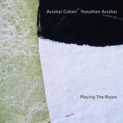 Avishai Cohen: Playing Th Room [CD]