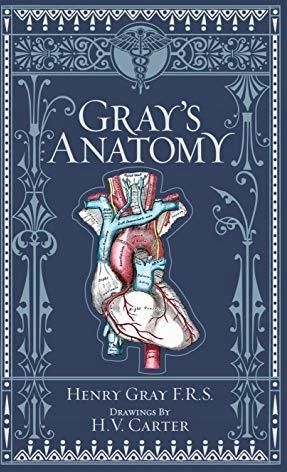 Gray S Anatomy Barnes Noble Collectible Editions Literatura