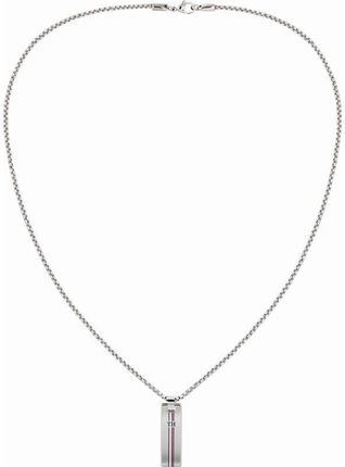 Tommy Hilfiger Skinny Dogtag Necklace 2790169