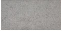 Zdjęcie Steinblau Beton Architektoniczny Jasno Szary 60 X 30Cm 5Szt. - Płoty