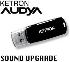 Ketron Pendrive 2010 SOUND UPGRADE - pendrive z dodatkowymi stylami AUDYA