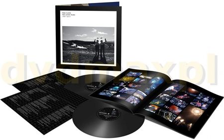 Pink Floyd: The Best Of The Later Years 1987 - 2019 [2xWinyl]
