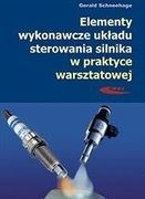 Zdjęcie Elementy wykonawcze układu sterowania silnika... - Wąchock