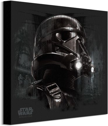 Star Wars Rogue One Death Trooper Black Obraz Na Płótnie 40X40 Cm (Wdc95713)