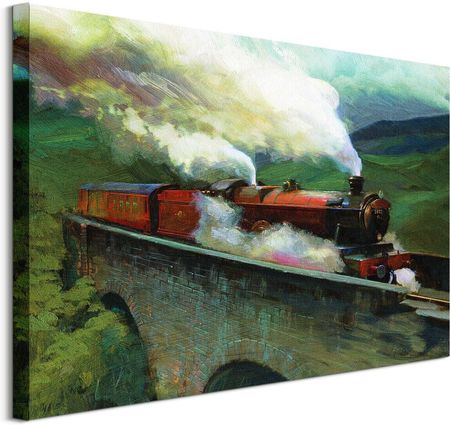 Harry Potter Hogwarts Express Landscape Obraz Na Płótnie 60X80 Cm (Wdc99736)