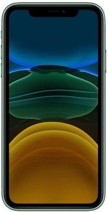 Apple iPhone 11 64GB Zielony - Cena, opinie na Ceneo.pl