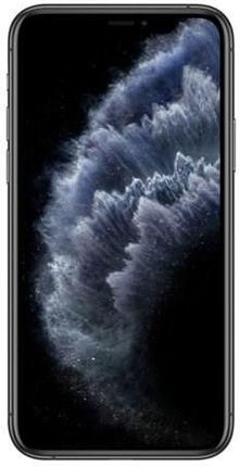 Apple - iPhone 11 Pro Max 256GB 香港版 Pricelulu | Apple iPhone 11 Pro Max (256GB) - Silver
