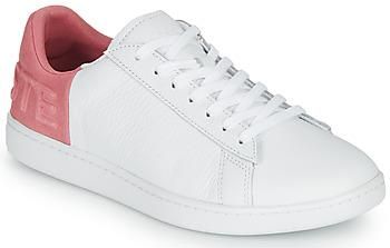 lacoste carnaby evo 419 2 sfa