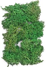 Zdjęcie Dpcraft Mech 30G - Gogolin