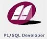 Allround Automations PL/SQL Developer 3 Year Service Contract Single User