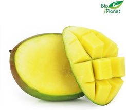 Zdjęcie Mango Świeże Bio Około 0,30kg - Złotoryja