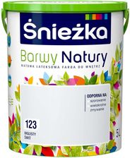 Zdjęcie Śnieżka Barwy Natury 123 Mglisty Świt 5L - Stęszew