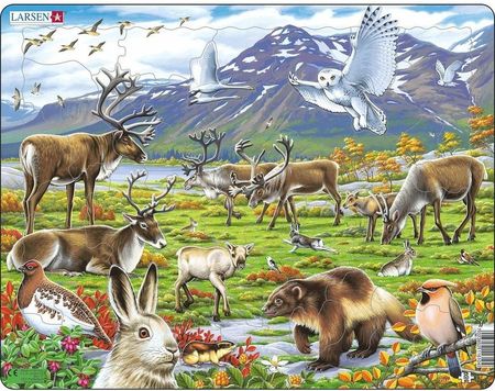 Larsen Puzzle Zwierzęta W Stepie 50 Części