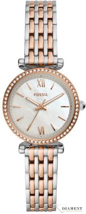 Fossil Es4649