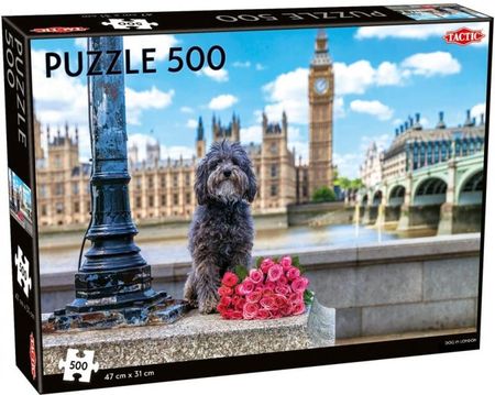 Tactic Puzzle Dog In London 500El.