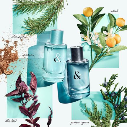 Tiffany & Co. love Eau de Parfum 50ml 香水 Tiffany & Co. love Eau de Parfum 50ml