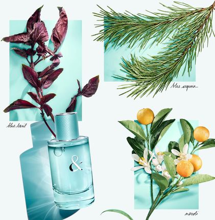 TIFFANY&CO. Tiffany&Love for Her Woda perfumowana 50ml