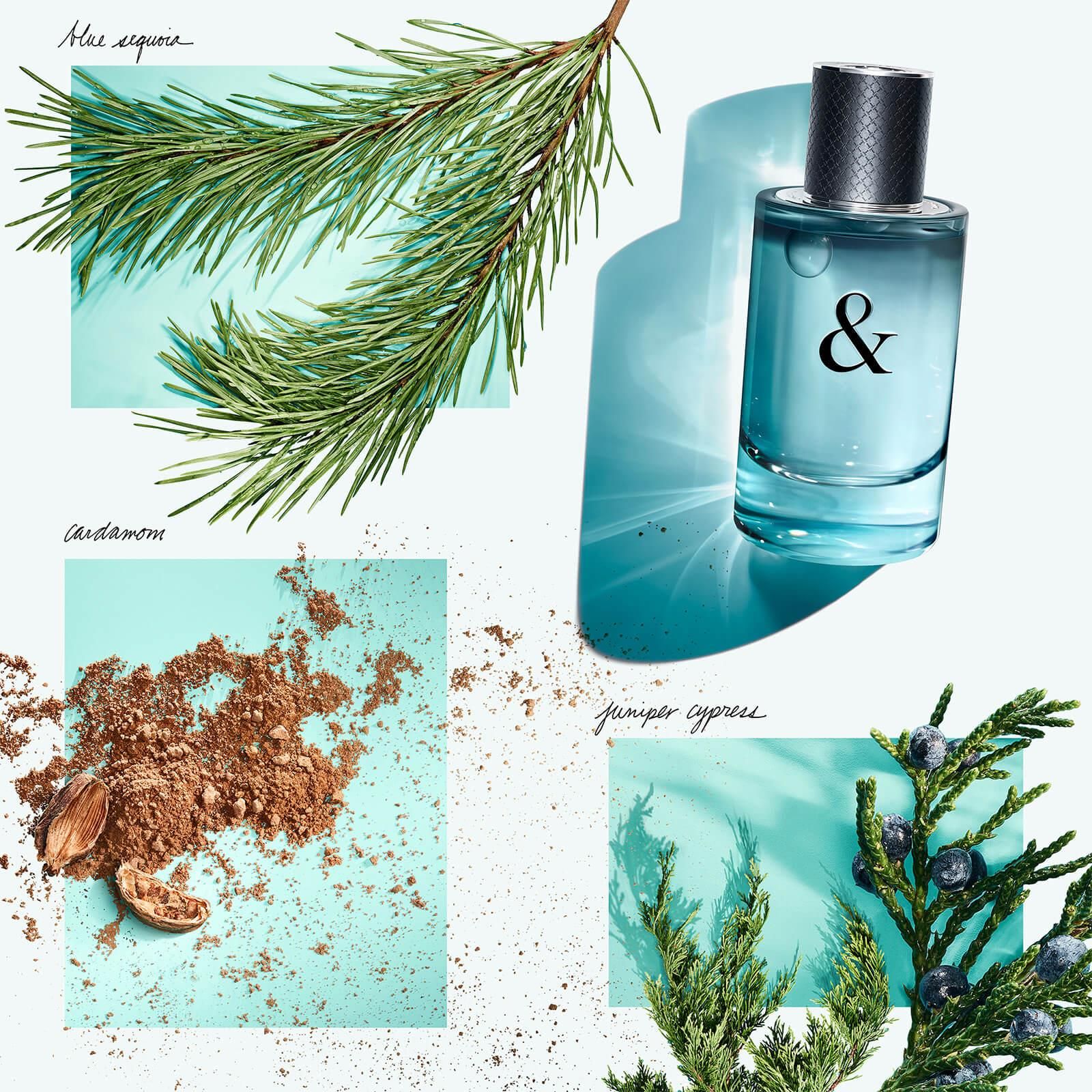 Tiffany&Co. Tiffany&Love For Him Woda Toaletowa 50 ml