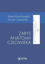 Zdjęcie Zarys anatomii człowieka - Myszków