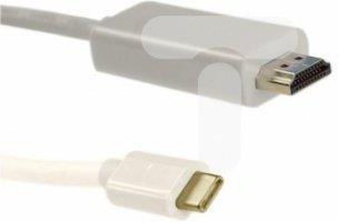 DisplayPort USB 3.1 CM HDMI AM 4Kx2K 1m50414