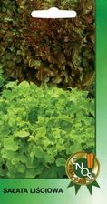 Zdjęcie VILMORIN SAŁATA LIŚCIOWA RED SALAD BOWL - Dobre Miasto