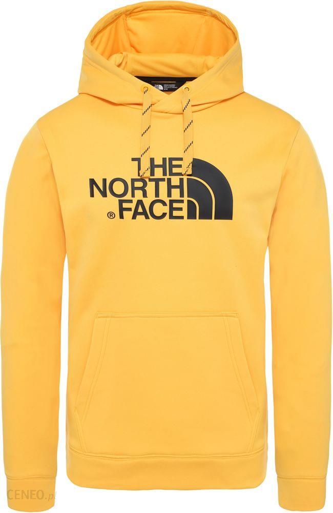the north face bluza