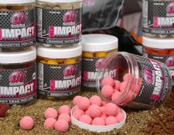 Mainline High Impact Pop-up Salty Squid 16 mm
