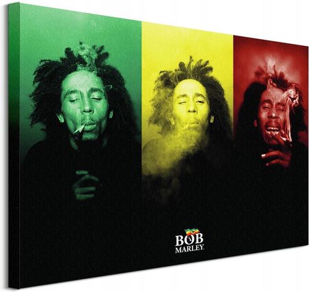 Bob Marley Tricolour Smoke Obraz płótno 80x60 cm
