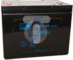 Zdjęcie AGM 12V 75Ah (260x170x205mm) MW 75-12h - Kobyłka