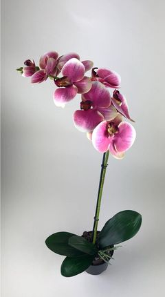 Storczyk sztuczny premium 9 kwiatów Jak Żywy