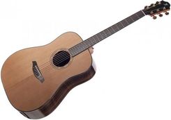 Furch Yellow D-Sr
