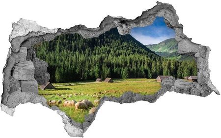 Wallmuralia Dziura 3D W Ścianie Na Ścianę Owce W Tatrach 90X70Cm