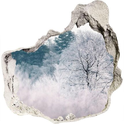 Wallmuralia Dziura 3D W Ścianie Naklejka Drzewa Zimą 90X70Cm