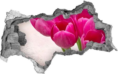 Wallmuralia Samoprzylepna Dziura Na Ścianę Różowe Tulipany 90X70Cm