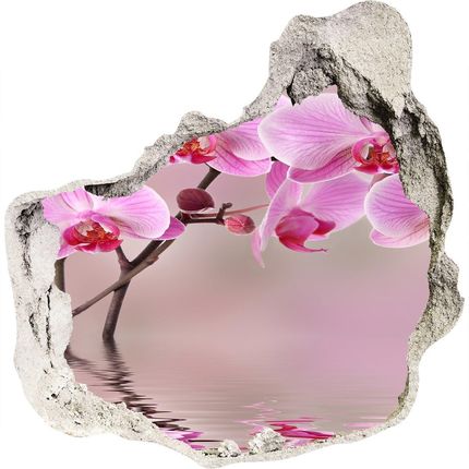 Wallmuralia Samoprzylepna Dziura Na Ścianę Różowa Orchidea 75X75Cm