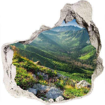 Wallmuralia Dziura 3D W Ścianie Naklejka Świt W Tatrach 75X75Cm