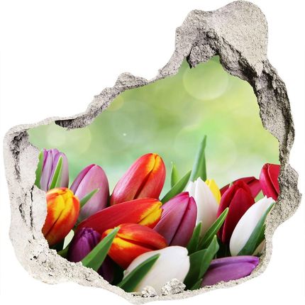 Wallmuralia Samoprzylepna Dziura Na Ścianę Kolorowe Tulipany 75X75Cm