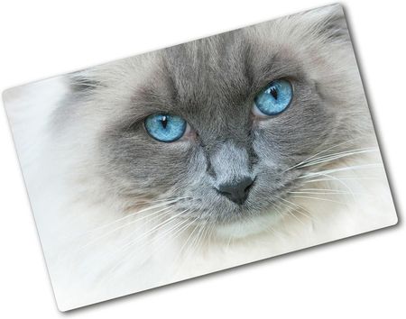 Wallmuralia Deska Kuchenna Szklana Kot Niebieskie Oczy 80X52Cm