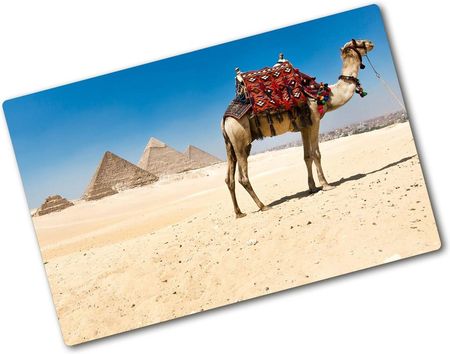 Wallmuralia Deska Kuchenna Szklana Wielbłąd W Kairze 80X52Cm