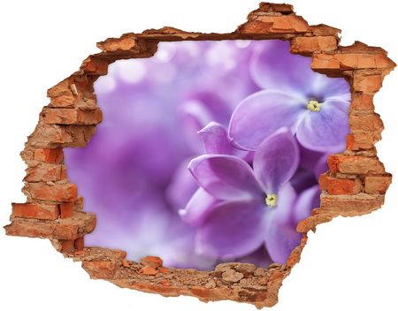 Wallmuralia Samoprzylepna Dziura Na Ścianę Kwiaty Bzu 90X70Cm