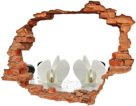 Wallmuralia Samoprzylepna Dziura Na Ścianę Naklejka Orchidea 90X70Cm
