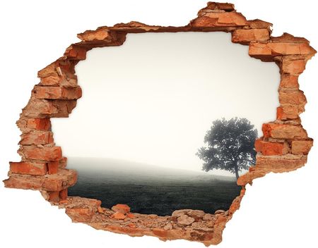 Wallmuralia Dziura 3D W Ścianie Naklejka Samotne Drzewo 90X70Cm