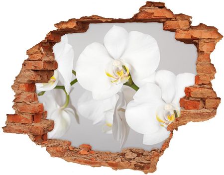 Wallmuralia Samoprzylepna Naklejka Na Ścianę Orchidea 90X70Cm