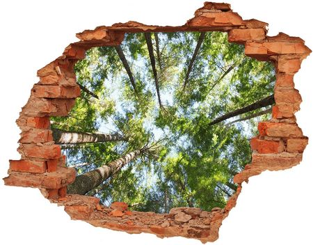 Wallmuralia Dziura 3D W Ścianie Na Ścianę Korona Drzew 90X70Cm