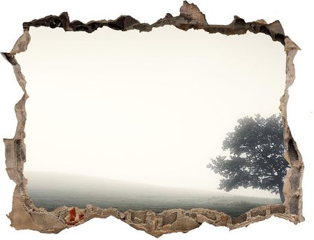 Wallmuralia Dziura 3D W Ścianie Naklejka Samotne Drzewo 95X64Cm