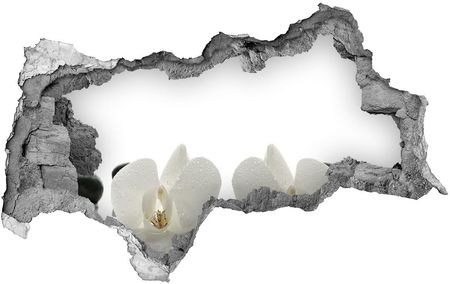 Wallmuralia Samoprzylepna Dziura Na Ścianę Naklejka Orchidea 95X73Cm